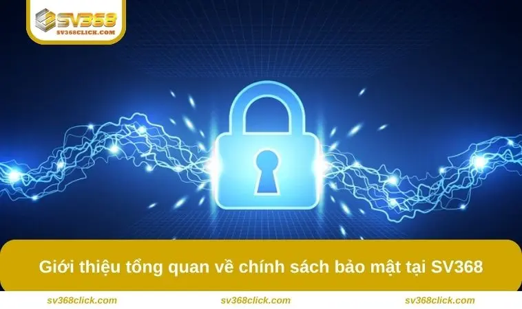 Giới thiệu tổng quan về chính sách bảo mật tại SV368