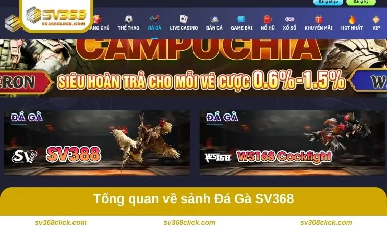 Tổng quan về sảnh game